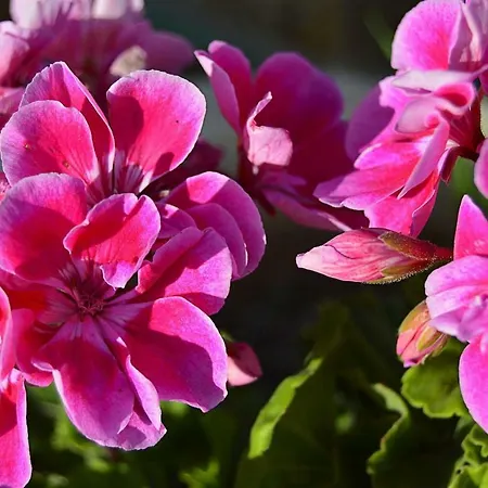 La Casa De Pedro Verdugo Turistico