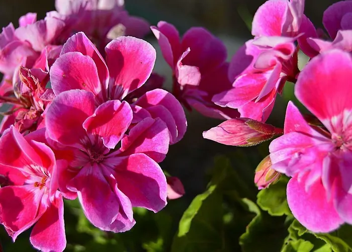 La Casa De Pedro Verdugo Turistico